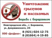 "Дездело": уничтожение вредных насекомых и грызунов в объявлении 5 фото "Дездело": уничтожение вредных насекомых и грызунов картинка из объявления