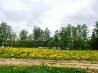 Участок 6 сот. в живописном КП в объявлении 9 фото Участок 6 сот. в живописном КП картинка из объявления