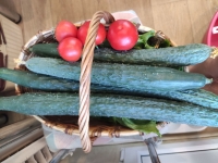 Проверка 32 в объявлении 1 фото Проверка 32 картинка из объявления