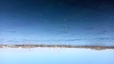 магия целительство картинка из объявления