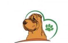 Ассистент Ветеринарного врача картинка из объявления