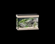 Аквариумы и оборудование в магазине Аквас в объявлении 8 фото Аквариумы и оборудование в магазине Аквас картинка из объявления