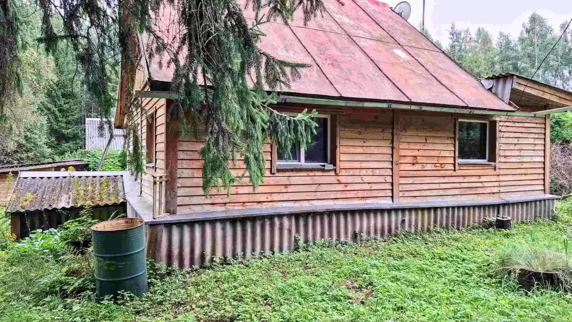 Добротный крепкий дом в лесу на хуторе картинка из объявления
