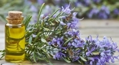 Розмарин, экстракт для маркетплейс для волос в объявлении 1 фото Розмарин, экстракт для маркетплейс для волос картинка из объявления