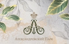 Главный бухгалтер картинка из объявления