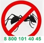 Обработка от муравьев картинка из объявления