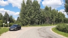 Уютный участок под строительство дома в березовой роще картинка из объявления