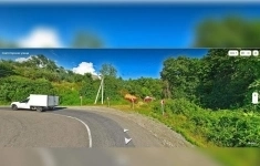 Продам участок 5 сот. картинка из объявления