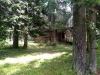 Продаются участки под турбизнес на Алтае возле Телецкого озера картинка из объявления