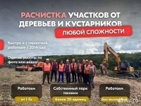 Мульчер гусеничный от 1 гектара в объявлении 9 фото Мульчер гусеничный от 1 гектара картинка из объявления