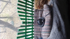 Антена комнатная в объявлении 1 фото Антена комнатная картинка из объявления