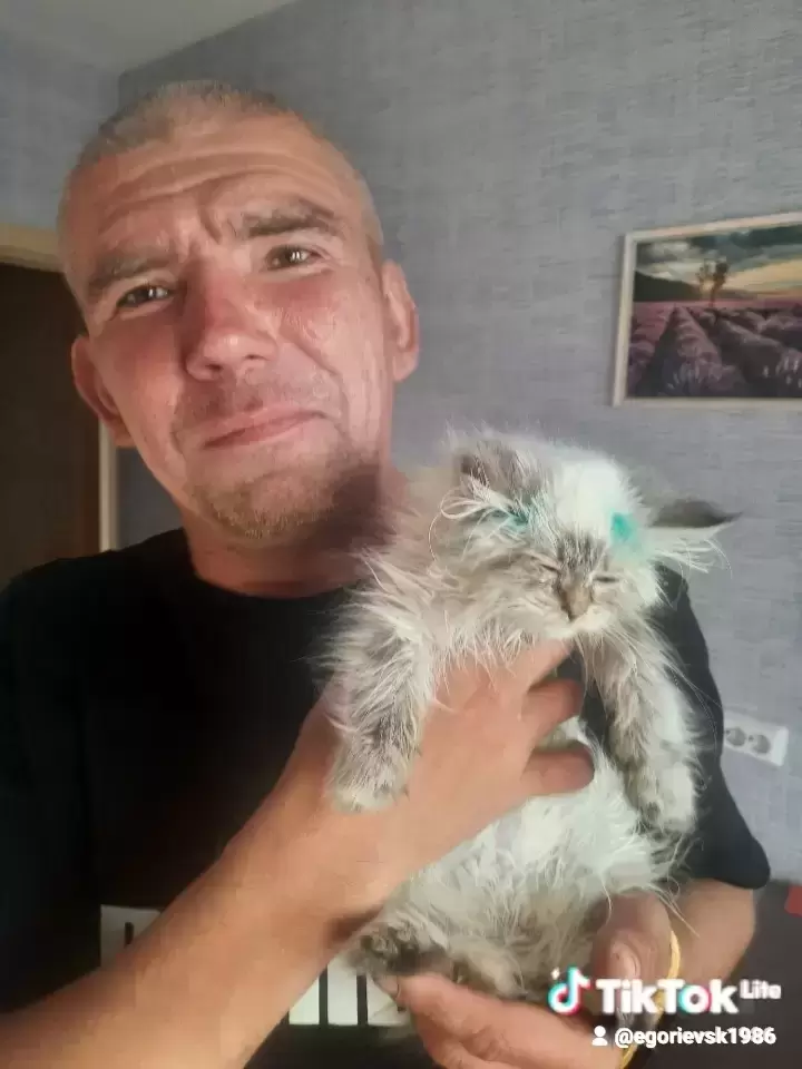 Познакомлюсь с девушкой до 45 лет в объявлении 2 фото Познакомлюсь с девушкой до 45 лет картинка из объявления