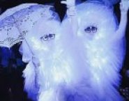 Светящиеся фьеки - пушистики на мероприятие в объявлении 6 фото Светящиеся фьеки - пушистики на мероприятие картинка из объявления