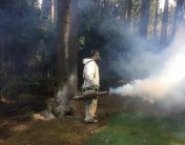 Служба по борьбе с клещами комарами Городец картинка из объявления