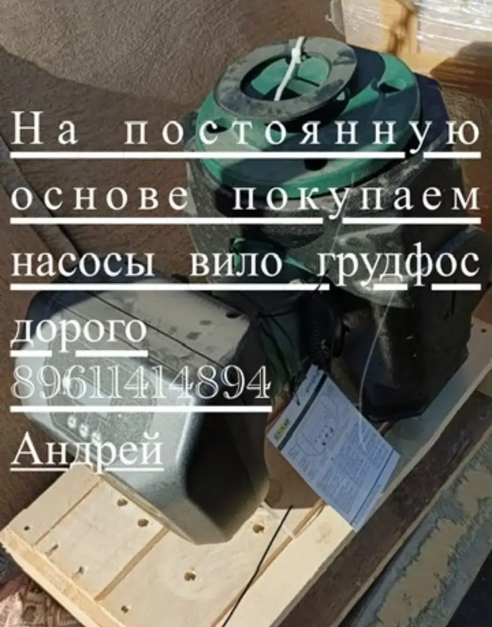 Мы покупаем Wilo насосы все модели,по выгодным ценам для Вас. Куплю Wilo насосы дорого. Работаем без выходных в объявлении 1 фото Мы покупаем Wilo насосы все модели,по выгодным ценам для Вас. Куплю Wilo насосы дорого. Работаем без выходных картинка из объявления