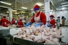 Фасовщик / оператор конвейера в объявлении 1 фото Фасовщик / оператор конвейера картинка из объявления