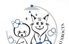 Администратор в AnimalSpa груминг в объявлении 1 фото Администратор в AnimalSpa груминг картинка из объявления