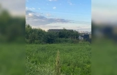 Продам участок 9 сот. в объявлении 9 фото Продам участок 9 сот. картинка из объявления