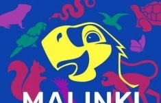 Менеджер по закупкам в объявлении 1 фото Менеджер по закупкам картинка из объявления