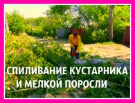 Спиливаем деревья в городе Масловка, мы спилим дерево в Масловке, в объявлении 1 фото Спиливаем деревья в городе Масловка, мы спилим дерево в Масловке, картинка из объявления