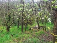 Земля в Сочи, ул. Фундучная в объявлении 4 фото Земля в Сочи, ул. Фундучная картинка из объявления