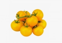 Овощеводы / Сборщики урожая в теплицу г. Старый Оскол картинка из объявления