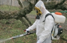 Противоклещевая обработка участка служба Одинцово картинка из объявления