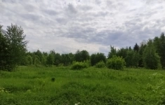 Продам коммерческую недвижимость 36 сот в объявлении 1 фото Продам коммерческую недвижимость 36 сот картинка из объявления