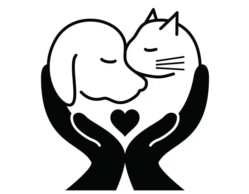 Похоронить ( КРЕМИРОВАТЬ ) кота, собаку, кошку в Туле, Калуге. Кремация животных круглосуточно. Выезд сотрудника крематория для вывоза умершего питомц картинка из объявления