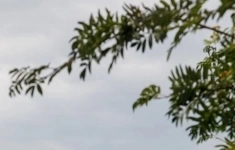 Сдам коммерческую недвижимость 38.2 м2 в объявлении 3 фото Сдам коммерческую недвижимость 38.2 м2 картинка из объявления