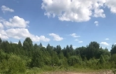 Продам коммерческую недвижимость 448 сот в объявлении 2 фото Продам коммерческую недвижимость 448 сот картинка из объявления