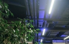 Продам коммерческую недвижимость 615.2 м2 картинка из объявления