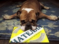 Предпродажная подготовка помещений квартир и комнат в объявлении 1 фото Предпродажная подготовка помещений квартир и комнат картинка из объявления