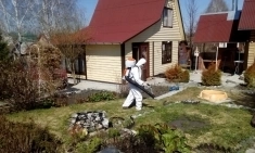Уничтожение клещей и комаров обработка от ос в Солнечногорске картинка из объявления