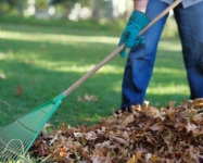 Уборка участков Обслуживание территорий в объявлении 6 фото Уборка участков Обслуживание территорий картинка из объявления