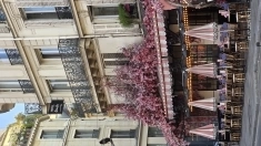 Предлагаю услуги по доставке документов Париж - Минск - Париж картинка из объявления