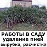 Расчистка участков Воронеж в объявлении 1 фото Расчистка участков Воронеж картинка из объявления