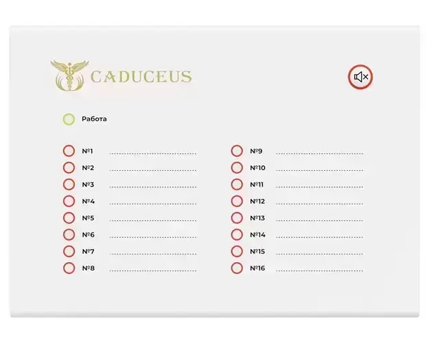 Терминал светодиодной индикации CADUCEUS SU-TE в объявлении 3 фото Терминал светодиодной индикации CADUCEUS SU-TE картинка из объявления
