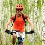 Удаленная работа картинка из объявления