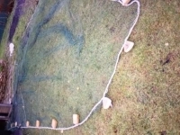 Продажа невода в объявлении 1 фото Продажа невода картинка из объявления