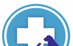 Ветеринарный врач в объявлении 1 фото Ветеринарный врач картинка из объявления