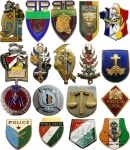 Иностранные знаки: полиция, жандармерия и таможня картинка из объявления