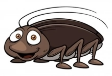 Обработка от клопов, тараканов... Ступино в объявлении 1 фото Обработка от клопов, тараканов... Ступино картинка из объявления