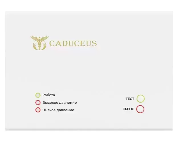 Устройство диспетчеризации кислородного газификатора CADUCEUS в объявлении 3 фото Устройство диспетчеризации кислородного газификатора CADUCEUS картинка из объявления