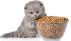 Работа для всех / Упаковщики в Тульскую обл. / РФ/СНГ / Жилье в объявлении 1 фото Работа для всех / Упаковщики в Тульскую обл. / РФ/СНГ / Жилье картинка из объявления