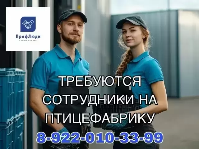 На птицефабрику требуются сотрудники в объявлении 1 фото На птицефабрику требуются сотрудники картинка из объявления