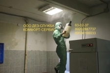 Обработка от клопов и тараканов холодным туманом картинка из объявления