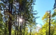 Продам коммерческую недвижимость 100 сот картинка из объявления