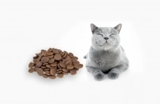 Работа для всех / Упаковщики в Тульскую обл. / РФ/СНГ / Жилье картинка из объявления