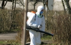 Обработка от клещей участков служба Киржач картинка из объявления